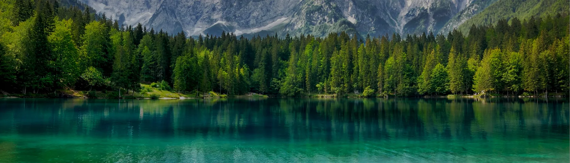 Дизайн купальних ставків — гірка 03